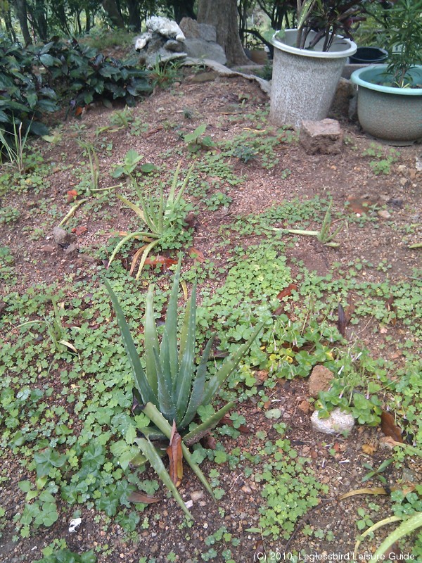 20100215Farm Visit49.jpg
